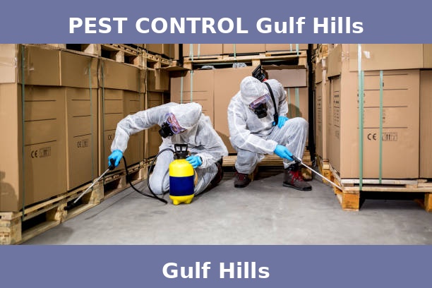 PEST CONTROL Gulf Hills